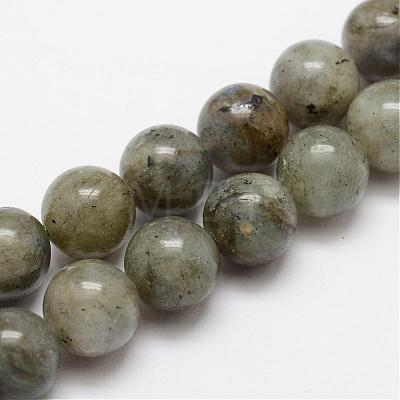 Natural Labradorite Bead Strands G-O155-05B-4mm-1