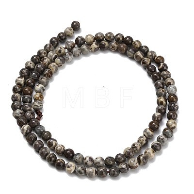 Natural Astroite Jasper Beads Strands G-F814-A01-4mm-1