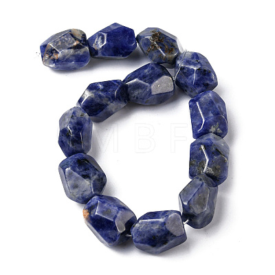 Natural Sodalite Beads Strands G-F743-04H-1
