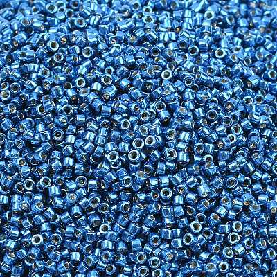 MIYUKI Delica Beads LS-X-SEED-J020-DB2516-1