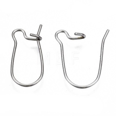 304 Stainless Steel Hoop Earring Findings STAS-S117-008A-01-1