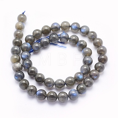 Natural Labradorite Beads Strands G-O166-08-8mm-1