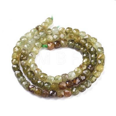 Natural Green Garnet Beads Strands G-R475-018-1