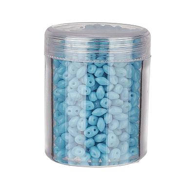 Czech Glass Seed Beads SEED-JP0005-63030-1
