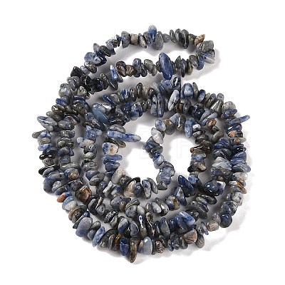 Natural Sodalite Beads Strands G-P530-A01-01-1