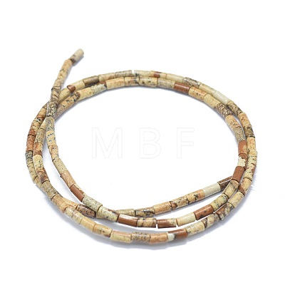 Natural Picture Jasper Beads Strands G-F631-B10-1