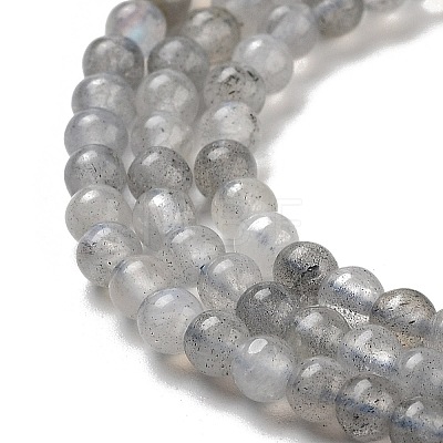 Natural Labradorite Beads Strands G-G140-D02-02-1