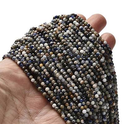 Natural Sodalite Beads Strands LS-G-RM2025-A19-3mm-1
