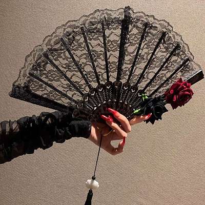 Plastic Lace Vintage Folding Fans PW-WG00BE2-01-1