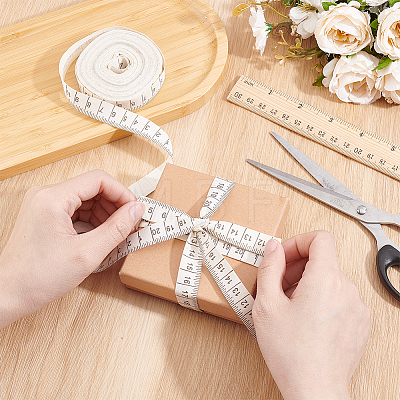 10 Yards Printed Ruler Polyester Ribbon OCOR-WH0070-147-1