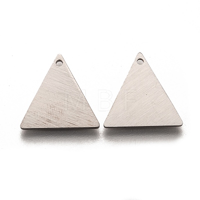 Tarnish Resistant 304 Stainless Steel Pendants LS-STAS-O133-04C-P-1