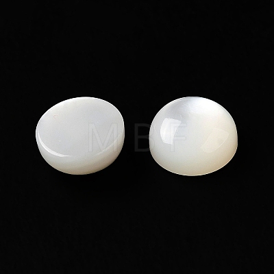 Natural White Shell Cabochons SSHEL-M022-01B-1