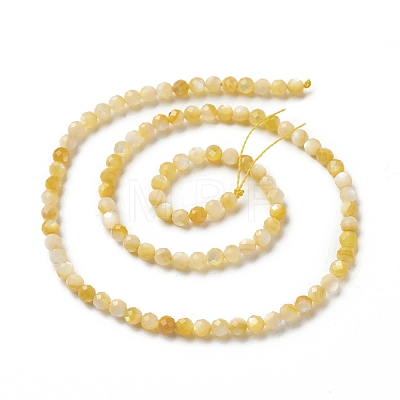 Natural Golden Yellow Shell Beads Strands SSHEL-G029-01A-1