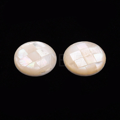 Natural White Shell Cabochons SSHEL-T014-34-1