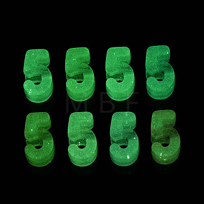Luminous Frosted Transparent Acrylic Beads TACR-T029-21F-1