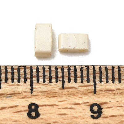 2-Hole Baking Paint Glass Seed Beads SEED-S023-17B-39-1