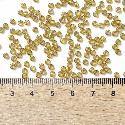 TOHO Round Seed Beads SEED-TR08-0389-1