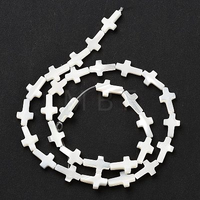 Natural White Shell Beads Strands SSHEL-F0812C-1