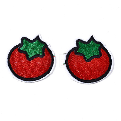 Computerized Embroidery Cloth Iron On/Sew On Patches AJEW-T005-08-1