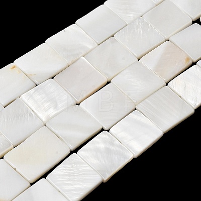 Natural Freshwater Shell Beads Strands SHEL-A006-10B-1