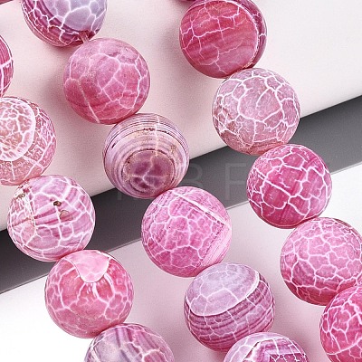 Dyed Natural Weathered Agate Beads Strands G-T144-28-1