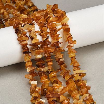 Natural Amber Chip Beads Strands G-E271-81-01-1