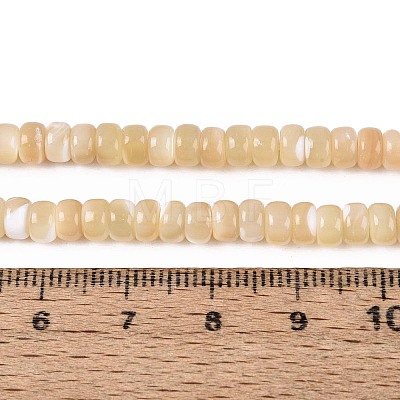 Natural Trochid Shell/Trochus Shell Beads Strands BSHE-T014-54B-1