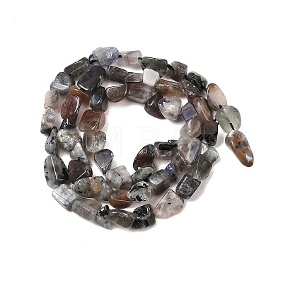 Natural Moonstone Beads Strands G-A284-A01-03-1