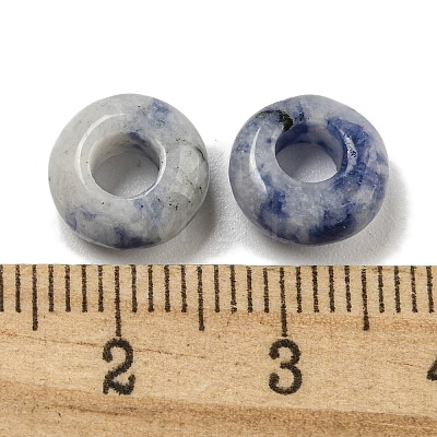 Natural Blue Spot Jasper Beads G-Q173-03A-14-1