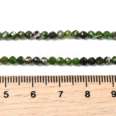 Natural Diopside Beads Strands G-G188-B14-03-1