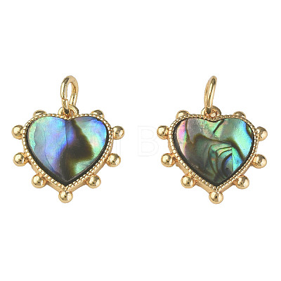 Synthetic Abalone Shell/Paua Shell Charms X-KK-N233-216-1