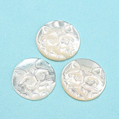 Natural Sea Shell Cabochons SHEL-D079-23-1