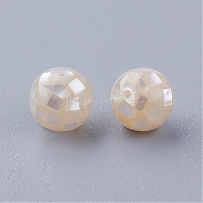 Natural White Shell Beads SSHEL-Q298-12mm-08-1