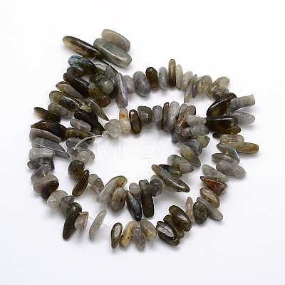 Labradorite Beads Strands G-O051-08-1