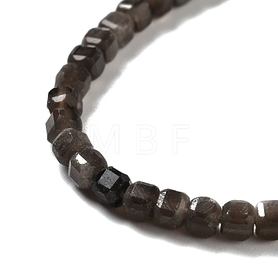 Natural Silver Sheen Obsidian Beads Strands G-D467-A01-1