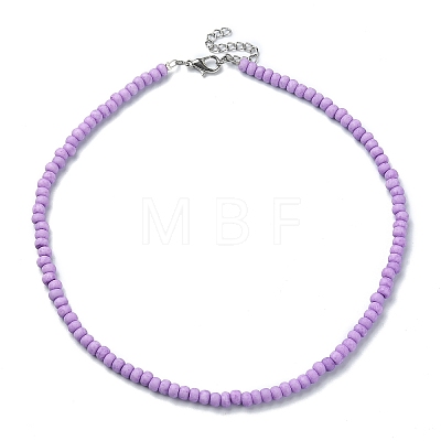 6Pcs 6 Color Glass Seed Beaded Necklaces Set with 304 Stainless Steel Clasps NJEW-JN04380-1