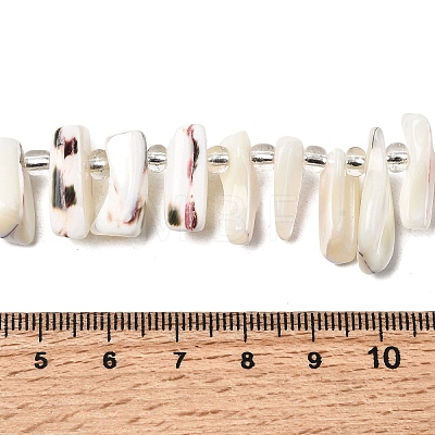 Natural Trochid Shell/Trochus Shell Beads Strands BSHE-A002-03A-1