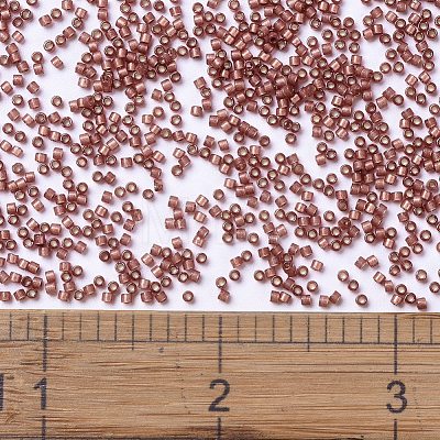 MIYUKI Delica Beads SEED-J020-DB2179-1