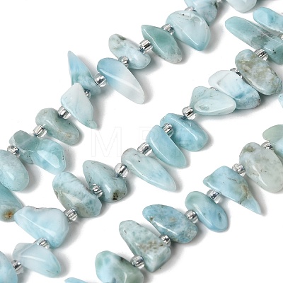 Natural Larimar Beads Strands G-P604-A28-01-1