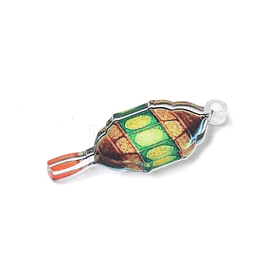 Transparent Printed Acrylic Pendants OACR-E042-01B-1