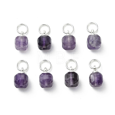 Natural Amethyst Pendants PALLOY-JF05300-01-1