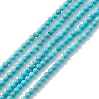 Natural Howlite Beads Strands TURQ-K005-01A-1