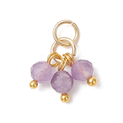 Natural Gemstone Pendants PALLOY-JF05141-02-1
