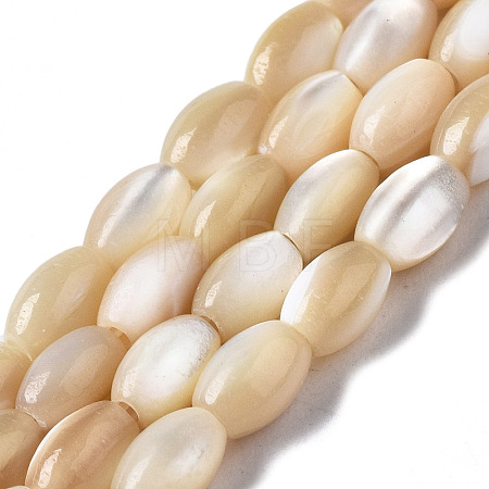 Natural Trochid Shell/Trochus Shell Beads Strands SSHEL-S266-021B-01-1