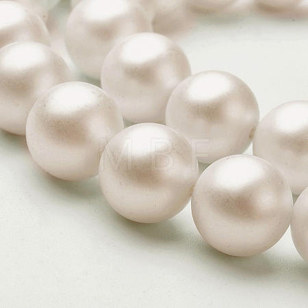 Shell Imitated Pearl Bead Strands BSHE-F0014-6mm-10-1