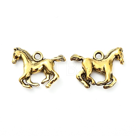 Tibetan Style Alloy Pendants TIBEP-T002-07AG-NR-1
