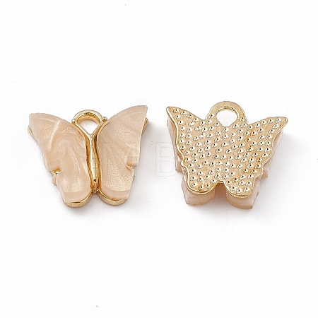 Acrylic Charms MACR-C012-01KCG-08-1