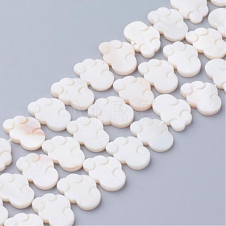 Natural White Shell Beads SSHEL-Q298-07-1