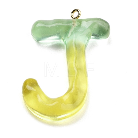 Resin Pendant FIND-Q107-01J-02-1