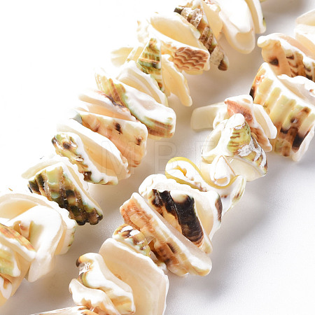 Natural Spiral Shell Bead Strands SSHEL-N034-110-1